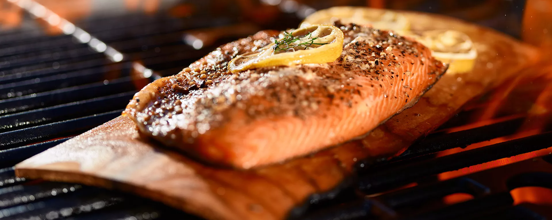 Thomas Fischer Catering